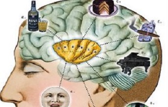brain-360