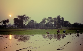 A Beautiful View of Ekachakra