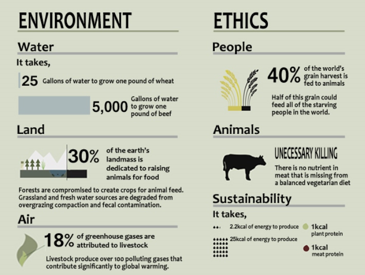 protect cows