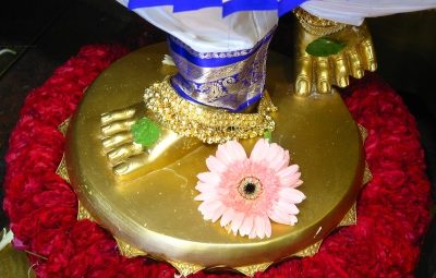 Lotus Feet