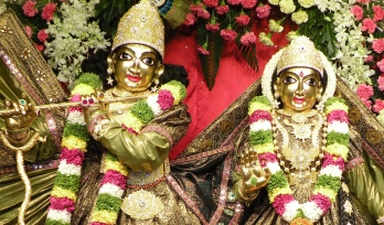 Offer Seva