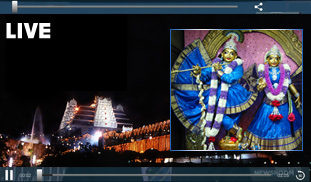 Upcoming Festival