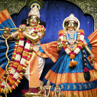 Live Darshan
