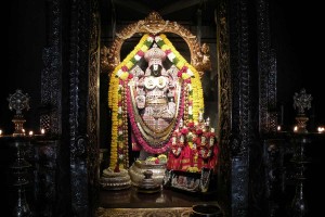 Srinivasa Govinda Deity