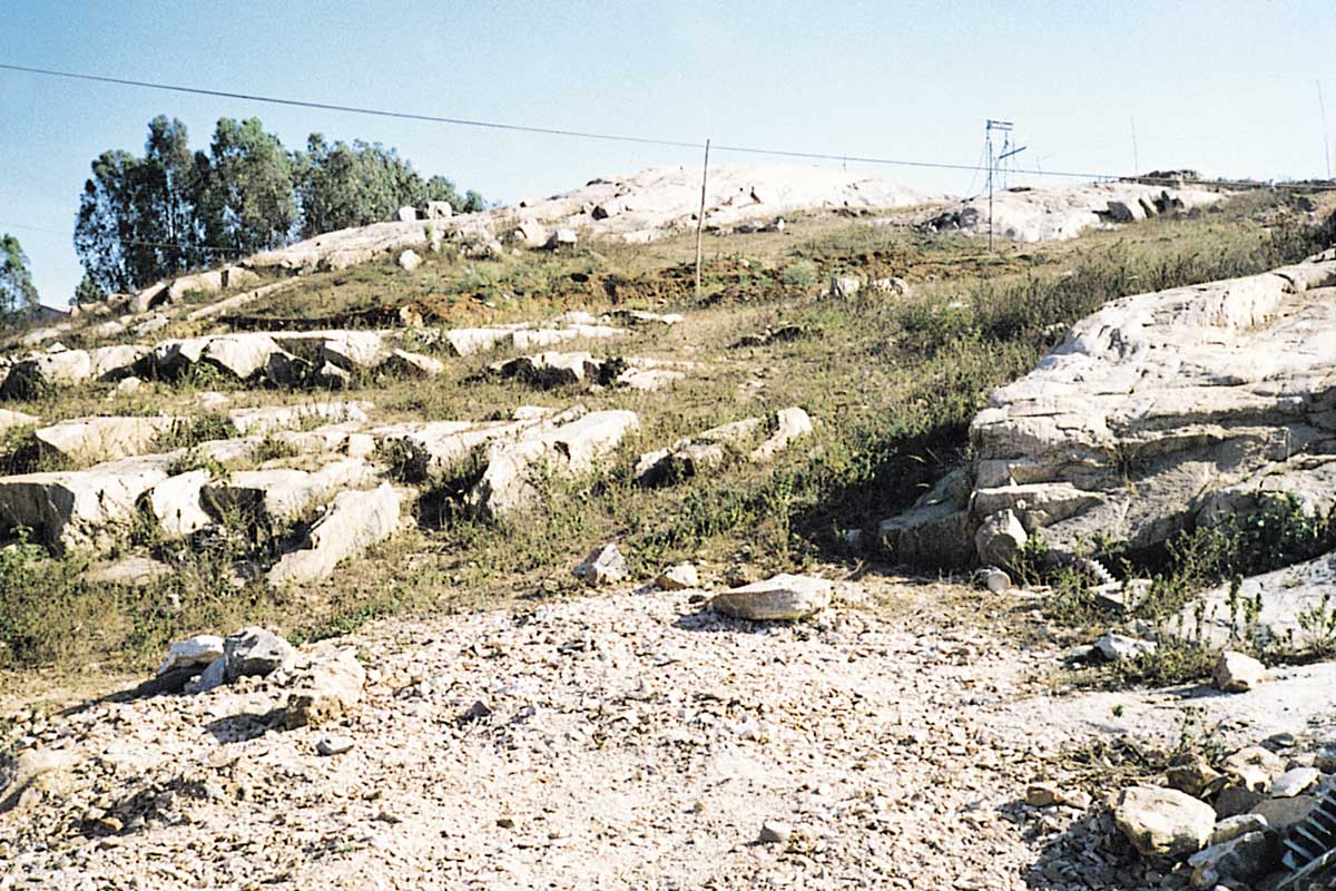 land alloted by bda