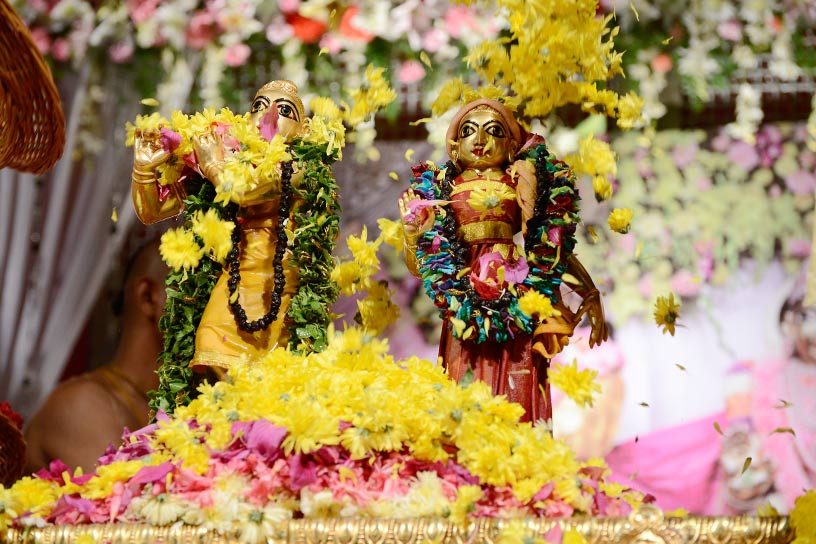  Pushpa-vrishti: A colorful shower of flowers 
