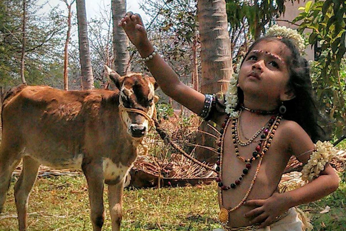 Krishna Costume Contest